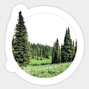 Tree Sticker